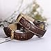 iStrap Leather Watch band -Alligator Grain Embossed Pattern Calfskin Replacement Strap-Stainless Steel Deployment Buckle with Push Buttons-Bracelet for Men Women-18mm 19mm 20mm 21mm 22mm 24mm