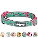 Blueberry Pet Essentials Pink Flamingo Dog Collar, Large, Neck 18-26