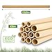 Bamboo Straws Eco-Friendly and Reusable Wooden Drinking Straws, Natural Alternative to Plastic, Zero Waste (Regular Size)
