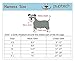 PUPTECK Soft Mesh Dog Harness and Leash Set Pet Puppy Cat Comfort Padded Vest No Pull Harnesses, Cream, XL