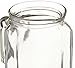 Bormioli Rocco Frigoverre Jug with Hermetic Lid, 17 oz.
