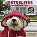 #petselfies 2020 Wall Calendar by
