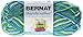 Bernat Yarn, 1.5 oz, Emerald Energy Ombre 204 Foot