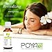 Lime Essential Oil 30 ml (1 fl. Oz.) - GCMS Tested, 100% Pure, Undiluted and Therapeutic Grade