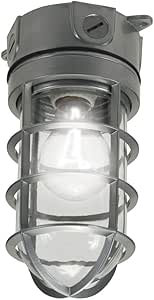 Cooper Lighting VT100G 100W Vapor Tight Incandescent Floodlight: Amazon