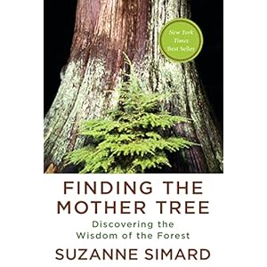 Finding the Mother Tree: Discovering the Wisdom of the Forest