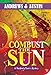 Combust the Sun (Richfield & Rivers Mystery Series Book 1) by 
