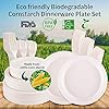 210PCS-Re-usable-Tableware-Set-Cornstarch-Cutlery-Plates-Forks-KnivesSpoons-Included-Eco-Friendly-Cornstarch-Dinnerware-for-Christmas-Party-BBQ-Picnic 210PCS Re-usable Tableware Set, Cornstarch Cutlery Plates, Forks, Knives,Spoons Included, Eco-Friendly Cornstarch Dinnerware for Christmas Party BBQ Picnic