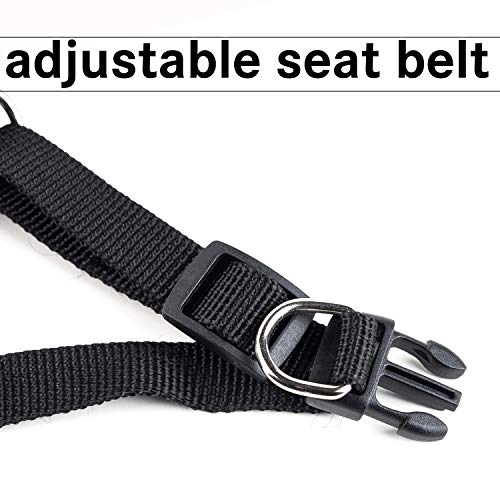 Kamots Beauty Escape Proof Cat Harness and Leash for Walking Adjustable Soft Mesh Pet Vest with Lead for Kitten -(Black,XS)