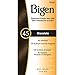 #45 Chocolate Bigen Permanent Powder - 3 Pack