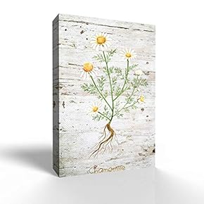 Canvas Wall Art - Summer Series - Modern Home Art Stretched and Framed Ready to Hang - 12x18 inches