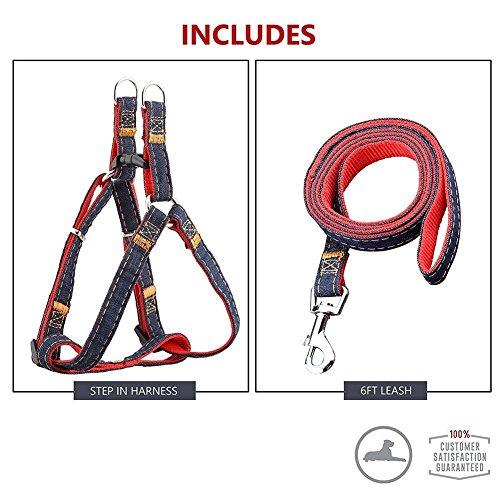 IKOCO No-Pull Dog Leash Harness Adjustable and Heavy Duty Denim Dog Training Walking Leash Collar for Large/Medium/Small Dog(M, Red)
