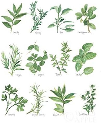 Amazon.com: Herb Chart Poster Print by Chris Paschke (8 x 10): Posters & Prints Amazon.com: Herb Chart Poster Print by Chris Paschke (8 x 10): Posters & Prints