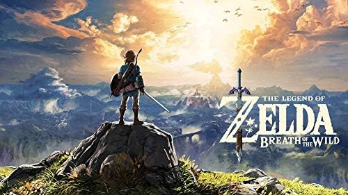 Amazon.com: The Legend of Zelda: Breath of the Wild + Expansion