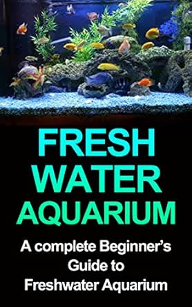 aquarium for beginners