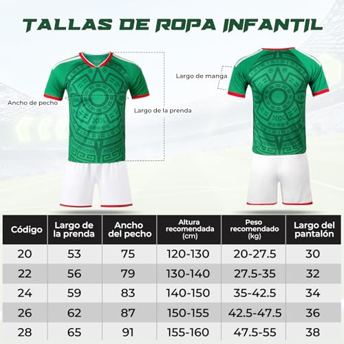 ASVEL Conjunto de Playera de Fútbol, Conjunto Unisex de Ropa Deportiva de Fútbol, Camisetas y Pantalones Cortos con Calcetines, Camiseta de Regalo para Aficionados
