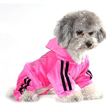 SEIMAI Dog Hoodies Jumpsuit for Small Dog Cat Puppy Rhinestone Crown Soft Velvet Winter Hooded Pajamas Tracksuit Outfits Sportswear Jacket with Hat Training Outdoor Pink XS