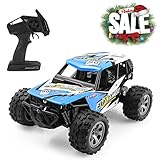 FITMAKER RC Cars, All Terrain Remote Control High-Speed Offroad 2.4Ghz 2WD Remote Control Monster Truck, Best Gift for Kids & Adults (Upgraded Version)