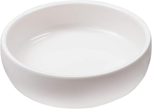 cat bowls amazon