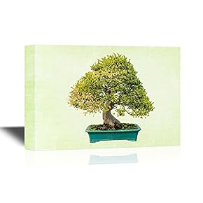Bonsai Miniature Green Plant