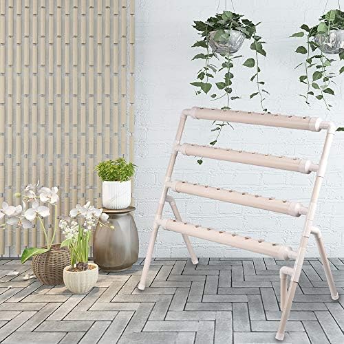 ETE ETMATE Kit de Cultivo hidropónico Sistema de Plantas ...