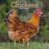 Chickens Calendar - Calendars 2019 - 2020 Wall Calendars - Animal Calendar - Chickens 16 Month Wall by 