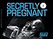 Secretly Pregnant Season 2
