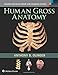 Human Gross Anatomy