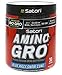 iSatori Amino-Gro Blue Razz Snow Cone 30 Servings