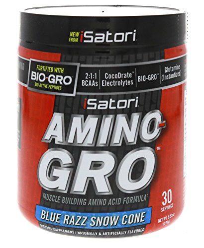 iSatori Amino-Gro Blue Razz Snow Cone 30 Servings