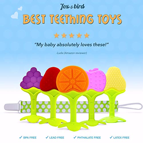 Fox and Bird - Baby Fruit Teether Pacifier (5 Pack) | Best Fruit Teething Toys for Toddlers and Infants | Baby Gum Massager | Baby Shower Registry Gift Set, with Pacifier Clip. (for Girls and Boys)