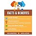 Jack&Pup 12” Stuffed Joint Health Support Sticks Dog Treat Chews (3 Pack) – Savory Beef Gullet Sticks - Naturally Rich in Glucosamine and Chondroitin - Promotes Healthy Joints and Tissue Growth