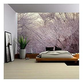 Abstract Macro Photo with Water Drops. Dandelion Seed.Artistic Background for Desktop. - Removable Wall Mural | Self-Adhesive Large Wallpaper - 66x96 inches