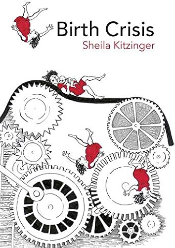 Download Birth Crisis PDF