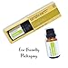 Copaiba Balsam Essential Oil by Simply Earth - 15 ml, 100% Pure Therapeutic Grade