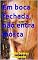 Livro Em boca fechada, não entra mosca