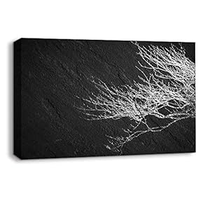 NWT Canvas Wall Art Sports Abstract Black Painting...