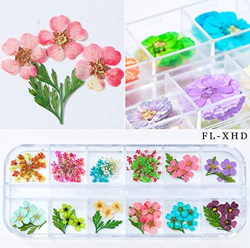 Amazon ドライフラワー 押し花 3dネイル ハーバリウム 花材 レジンデコレーション ネイルパーツ スターフラワー レジン封入 アクセサリーパーツ ネイル デコパーツ 透明収納ケース 上質 ネイルアートアクセサリー Fl Xhd アクセサリーパーツ 通販