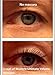 Vicious Teknology Natural 4D Silk Fiber Lash Mascara, Lengthening and Thick，fiber mascara, Long Lasting, waterproof mascara, All Day Exquisitely Lush, Full, Long, Thick, Smudge-Proof Eyelashes (Black)