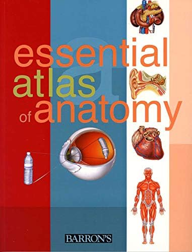 Amazon.com: Prometheus. Atlas de Anatomía 4º ed (+ ebook