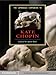 The Cambridge Companion to Kate Chopin (Cambridge Companions to Literature) by Janet Beer