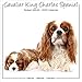 Cavalier King Charles Spaniel Calendar - Dog Breed Calendars - Calendars 2019 - 2020 Wall Calendars by 