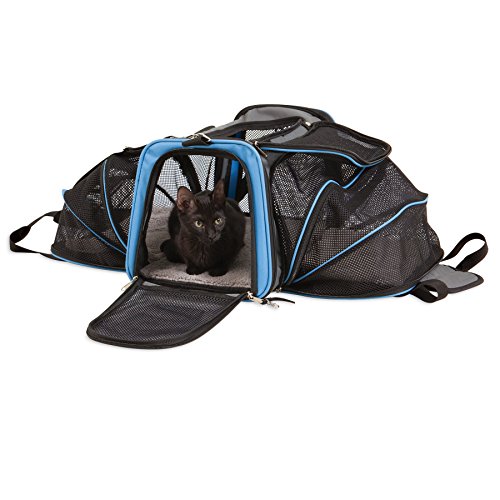 The 6 best jackson galaxy cat carrier for 2019