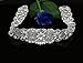 SoarDream Rhinestone Applique Pearl and Crystal Belt DIY Bridal Dress Belt