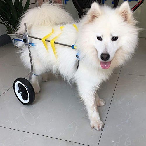 Mitofox Dog Wheelchair 6 Sizes Cart Pet Wheelchair for Handicapped Hind Legs Small Dog Cat/Doggie /Puppy Walk Stainless XXS-L