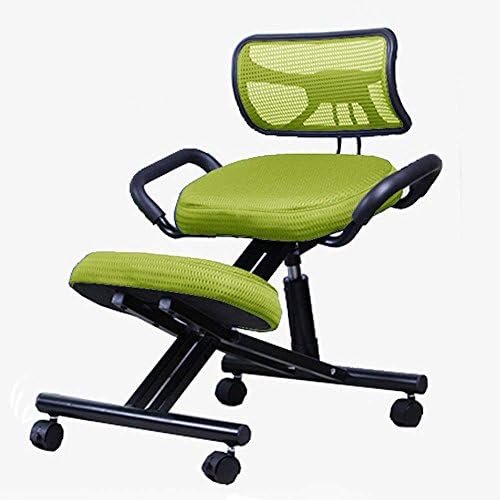 CWJ Brisk- home backrest computer chair steel adjustable writing chair meets the ergonomics straightening chair student chair/5 colors available,3