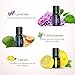 Anjou Essential Oils Set Top 9 Pack 100% Pure Aromatherapy Oil Kit, Include Lavender, Bergamot, Sage, Grapefruit, Palmarosa, Cinnamomum and More