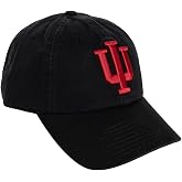 Desert Cactus Indiana University Hoosiers Embroidered Baseball Hat (A) | Officially Licensed IU Cotton Baseball Cap Brimmed Embroidered with Snapback Strap, Men Women Fan Gift Merch