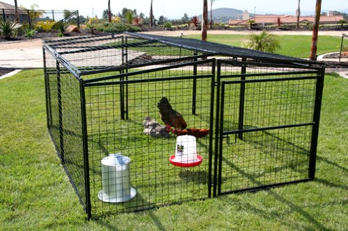 Rugged Ranch Products Metal Chicken Coop 7 Feet By 8 Feet Buy