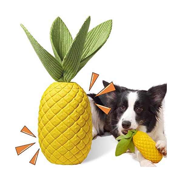 squeaky pineapple dog toy